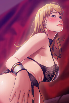 钢之炼金术师 封面